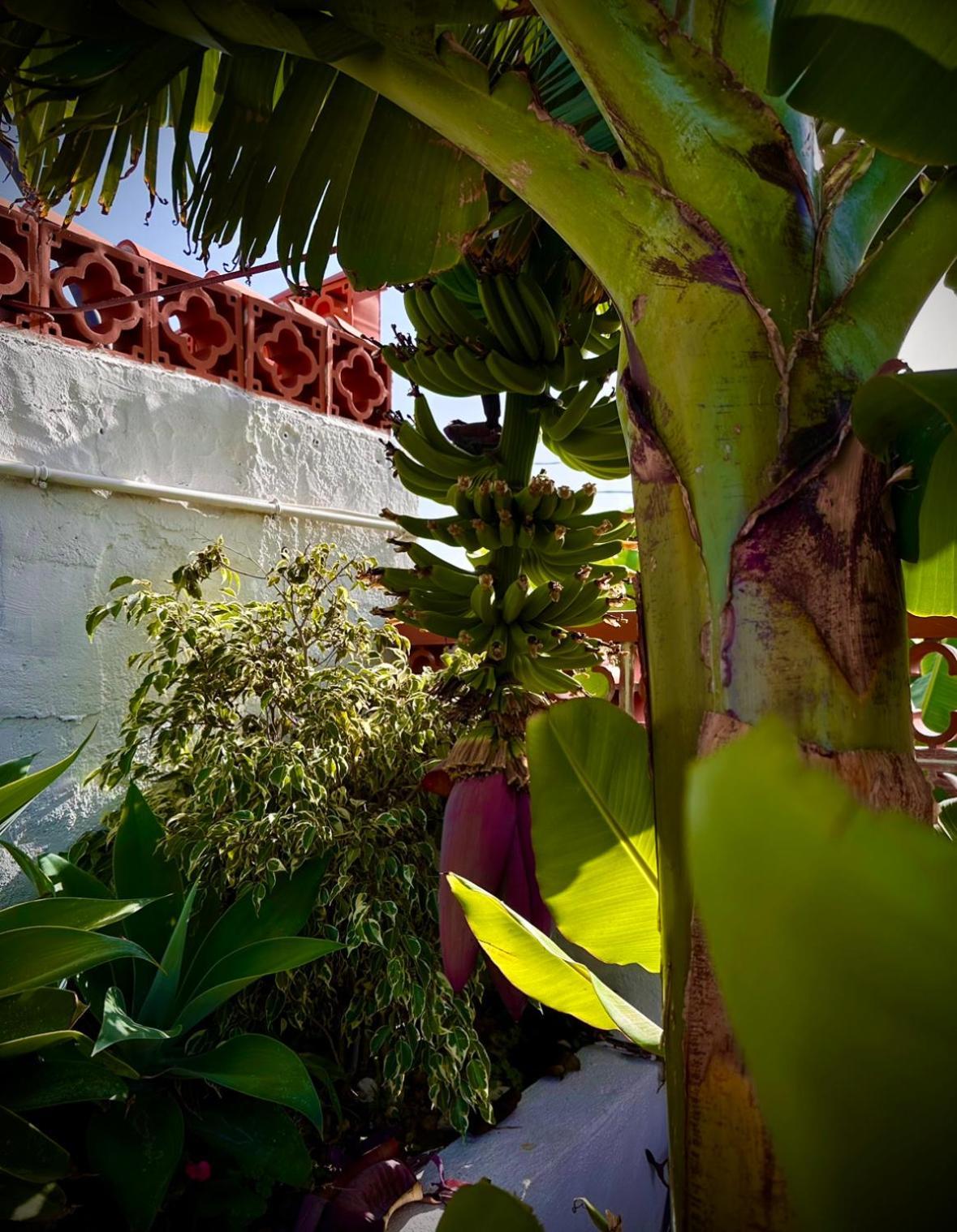 Villa Casa Cucu Tazacorte Exterior foto